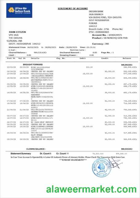 Indian Bank statement of account Word and PDF template